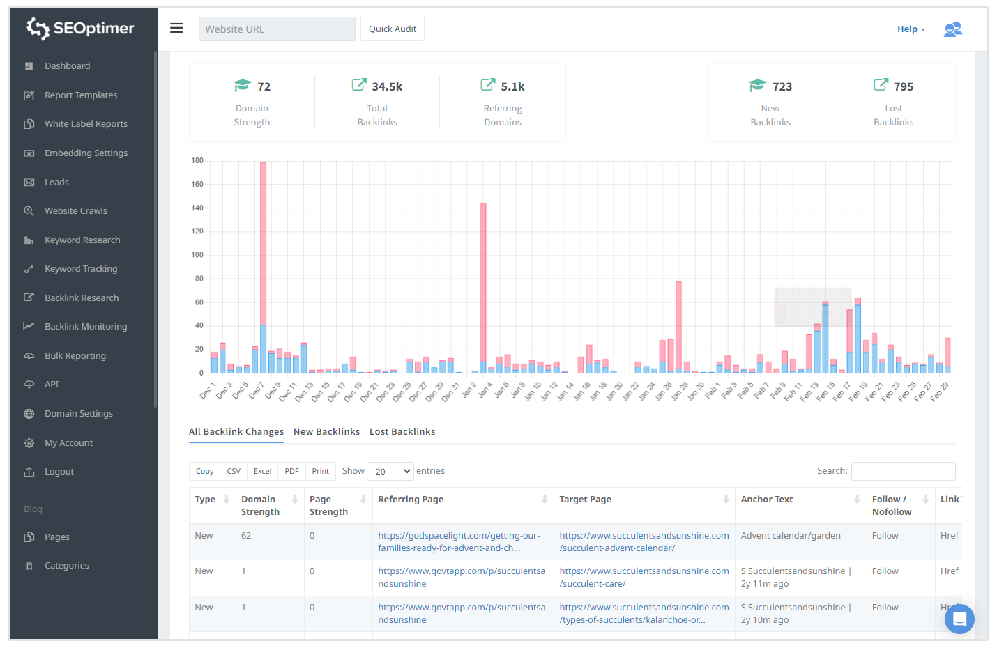 Backlink-Überwachung